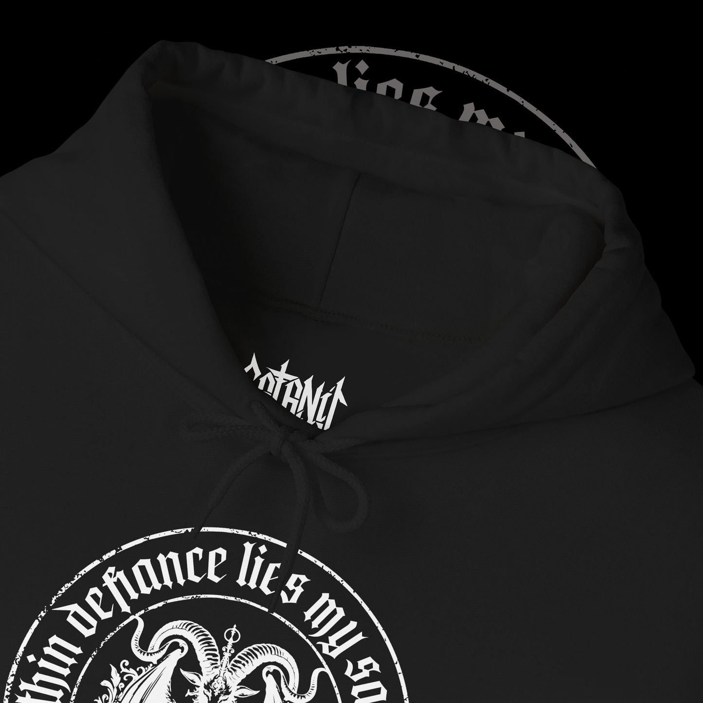 Ave Defiantia! -  Hooded Sweatshirt
